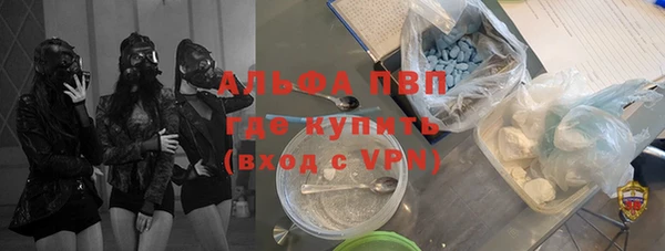 крисы Алексин