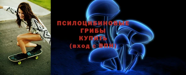 дживик Алзамай