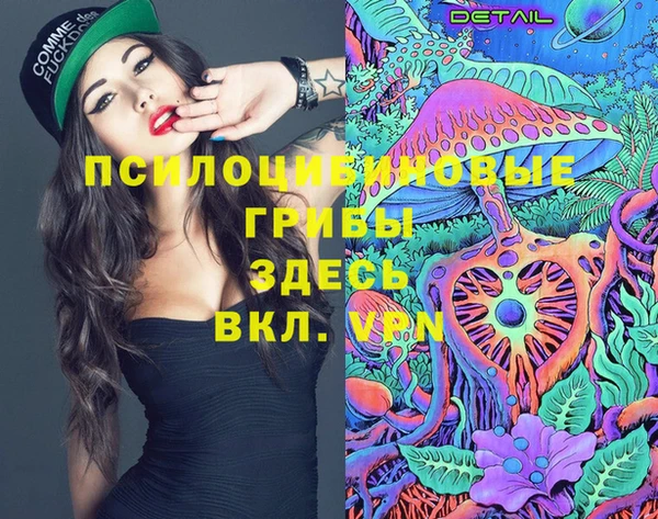 крисы Алексин